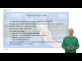 Data Processing and User Interface Types of Data Processing UPV