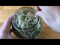 Download Lagu How To Grow Mung Bean Sprouts In A Mason Jar