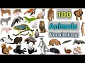 Download Lagu Animals Vocabulary In English ll 100 Animals Name In English With Pictures