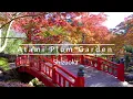 Autumn walk in a traditional Japanese garden - Atami Plum Garden【静岡･熱海梅園】