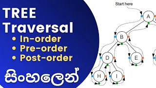 Tree Traversal Pre Order traversal In Order traversal Post Order traversal Sinhala