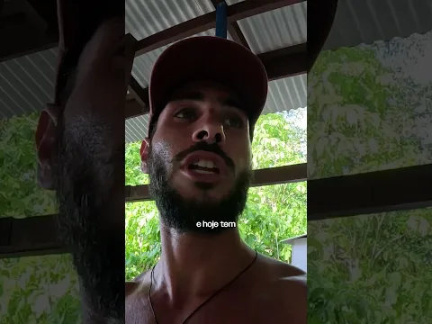 Essa é a ilha com MAIOR CONCENTRAÇÃO de pássaros do mundo!