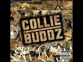Collie Buddz - Mamacita