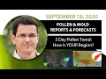 Seasonal Allergy Forecast Pollen and Mold Counts September 18 2020