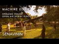Download Lagu Organic House Silent Disco DJ Set in a Houston Park // All Day I Dream // Senavinin // Machine Elves