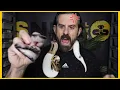 What is a Het Ball Python Genetics for Dummies
