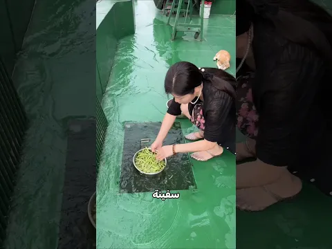 يعيشون في سفينة وسط البحر!😮