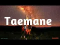 Wave Rhyder - Taemane (Official Audio)