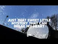 Fred again.., John Martyn - little mystery (Lyrics)