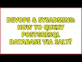 DevOps SysAdmins How to query postgresql database via salt