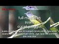 Download Lagu Suara cucak jenggot untuk masteran