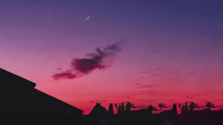 Billie Eilish WILDFLOWER Lyrics 