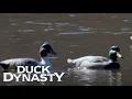Duck Dynasty Duck Decoy Battle Season 8 Episode 3 Duck Dynasty