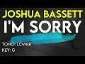 Joshua Bassett - I'm Sorry - Karaoke Instrumental - Lower