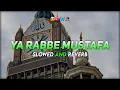 Download Lagu Ya Rabbe Mustafa Tu Mujhe Hajj pe Bula By Hafiz Tahir Qadri Slowed and Reverb @PathanEdits_YT