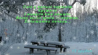 СНІГ КРУЖЛЯЄ 