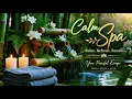 Calm Spa Retreat Unwind Your Mind and Rejuvenate Your Soul Stress Relief
