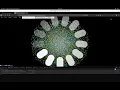 Developing SNIK Graph