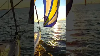 Sundown Finish on Galveston Bay #shorts #racing