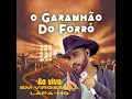 Download Lagu O Garanhão do forró ao vivo em Virgem da Lapa MG