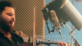 عندما يبكي الكمان وصاحبه  دندنها