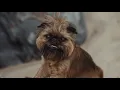 Download Lagu Grifoon ja šansoon - SADAMASILD