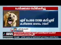 കോട്ടയം ഏറ്റുമാനൂരിൽ ഏഴ് പേരെ കടിച്ച നായക്ക് പേവിഷബാധ സ്ഥിരീകരിച്ചു