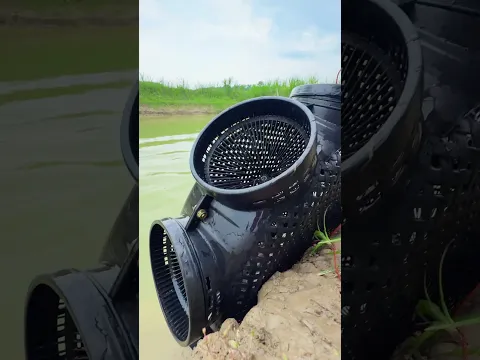 Village unique fishing technique by plastic cage trap #fishinglife #fishtrap #shorts