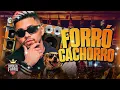 ALLÊ NO BEAT REPERTÓRIO NOVO 2026 - FORRÓ CACHORRO 3.0 - VIRADO NO VENENO