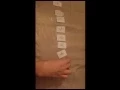 Exchange Sort