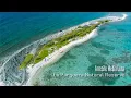 Seq - Arrecife Media Luna Lajas Puerto Rico