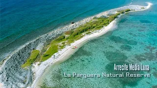 Seq - Arrecife Media Luna Lajas Puerto Rico