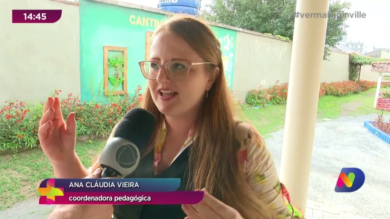 Ver Mais na Escola: CEI de Joinville cria abelhas sem ferrão