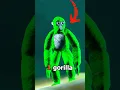 Download Lagu Where Are The LEGS? #gorillatag