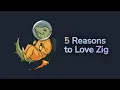 Zig Language Thoughts After 2 Years