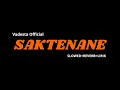 Saktenane - Vadesta Official [ slowed + riverb + lirik lagu ] saktenane aku iseh tresno koe