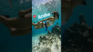 Diving Aruba #travel #sailing #snokeling #aruba  #dinghy #coral #barbie #gopro #sailingbyefelicia