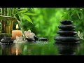 Download Lagu Wonderfully Soothing Moments 🌿 Relaxing Music for Stress Relief Healing and Peaceful Meditation