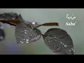 Download Lagu Surah Saba' (سَبَأ) by Mishary Rashid Al Afasy