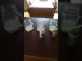 Plexus probio5 milk test