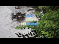 Gordon Lightfoot's "Early Morning Rain" play along with scrolling guitar chords and lyrics