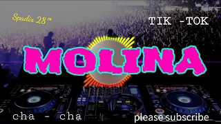 Download MOLINA Since 1986 - CHA CHA Disco Tanah - Spadix 28™ MP3