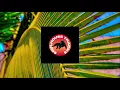 Sofi Tukker - Drinkee (Vintage Culture & John Summit Extended Remix)