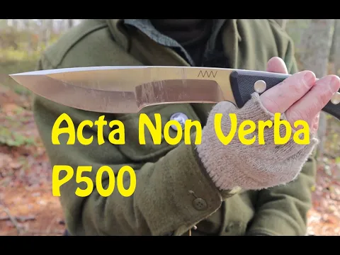 Download MP3 ANV Acta non Verba (Action not Words) P500