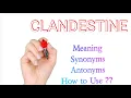 Meaning Synonyms Antonyms of Clandestine