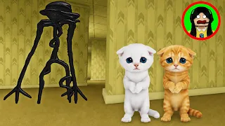 Somos gatitos encerrados en los Backrooms 💀