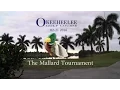 International Golftournamnet in Florida