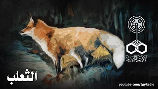 من الأدب العالمي الثعلب بن جونسون 