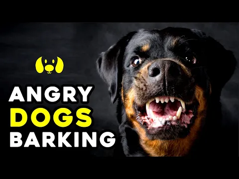 Download MP3 Angry Dogs Barking Sound Effect