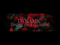 Download Lagu Dynamic - Život Je Fakt Zklamani (Uzarav La Pro Foros)